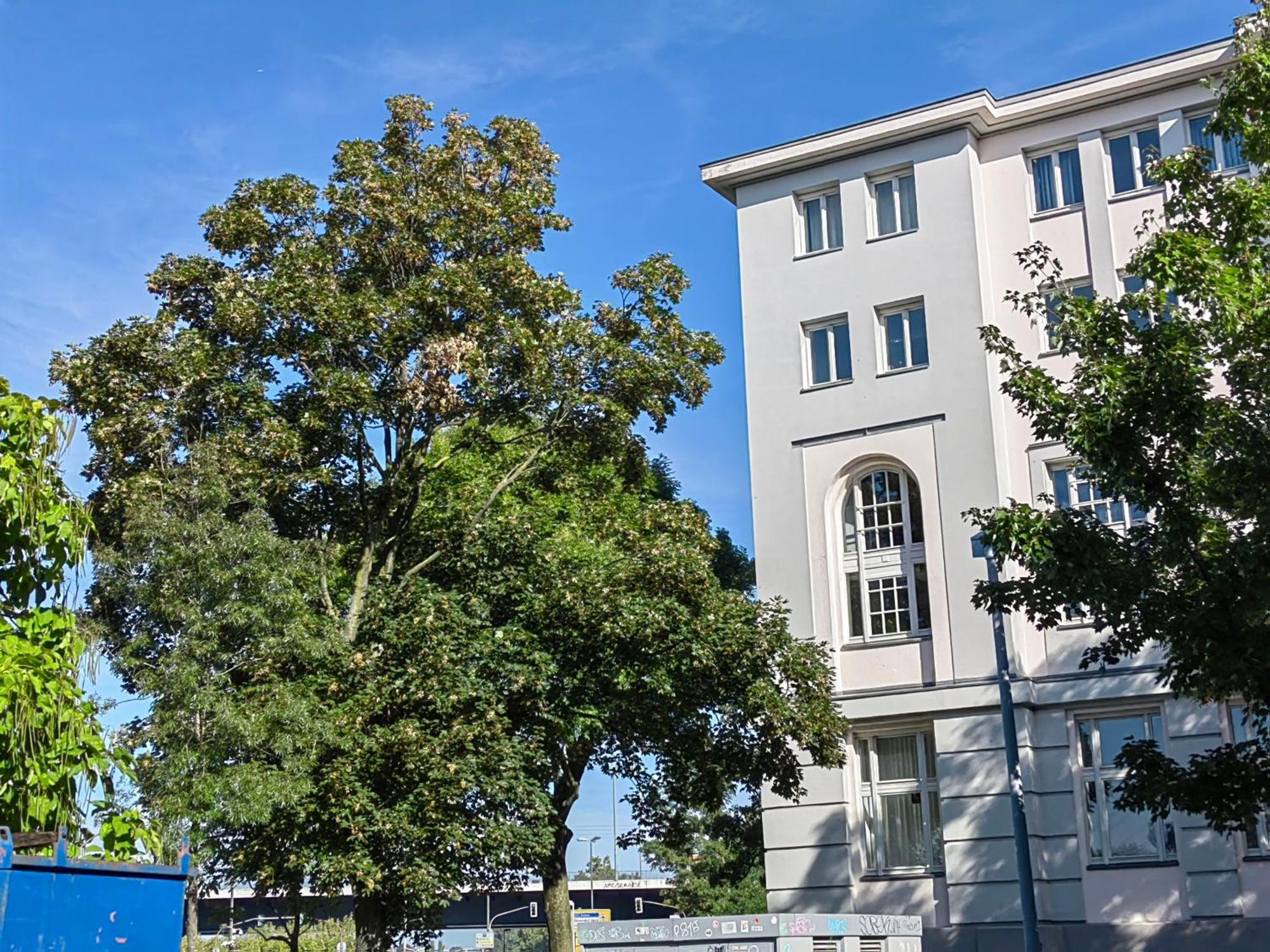 Apartament Epic Location Düsseldorf Zewnętrze zdjęcie